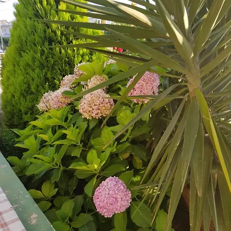Klejdi فندق *